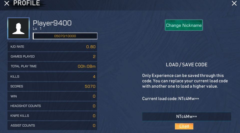 Crazy Strike Force Unblocked Screenshot, Profile Section
